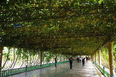 《武士少女》豪华版DLC宣传片 美少女服装JK忍者和服